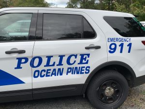 Pines police car